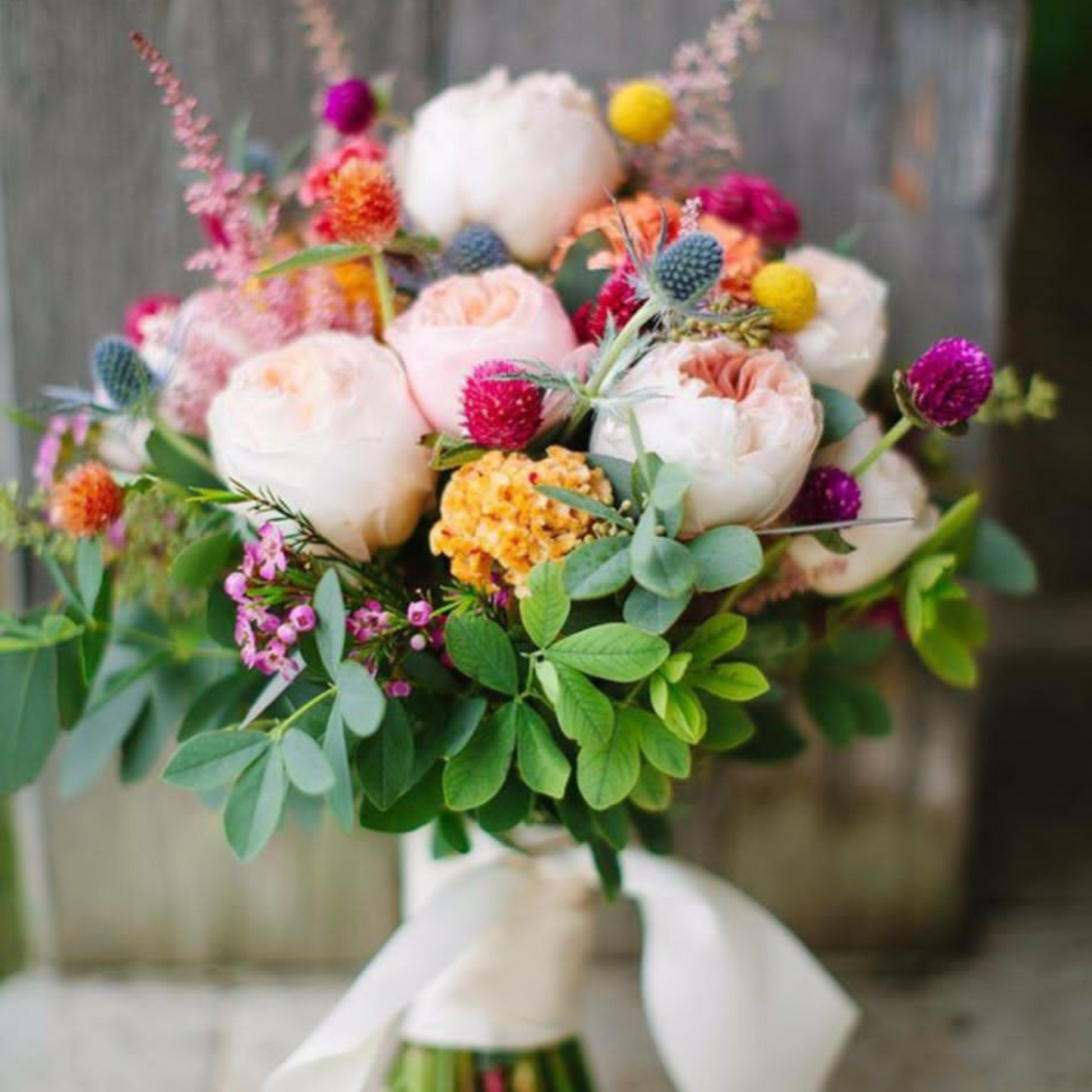 Wedding Packages