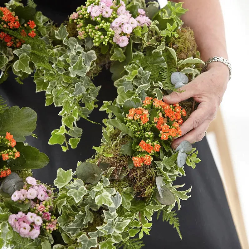 
                  
                    Living Plant Wreath
                  
                