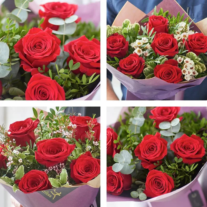 
                  
                    Half Dozen Large-headed Red Rose Gift Set
                  
                