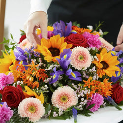 Vibrant Medley Spray – Newlands Flower Boutique