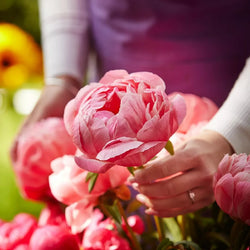 Sympathy hand-tied made with the finest flowers Neutrals €100 FB23 – Newlands Flower Boutique