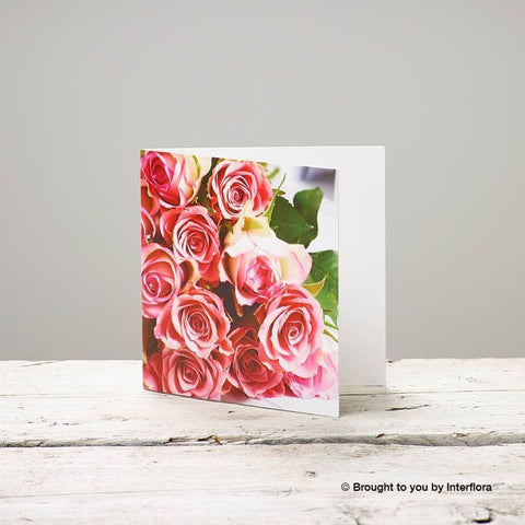 Pink rose Greeting Card