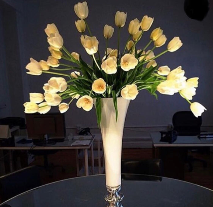 Tall Vase Of Long Stem French Tulips